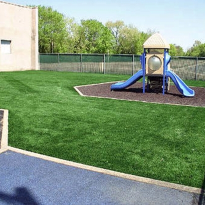 Synthetic Lawn San Jacinto, California Indoor Playground, Commercial Landscape