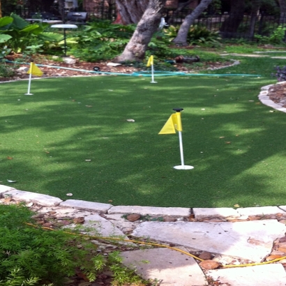 Synthetic Lawn Thermal, California Design Ideas, Backyard