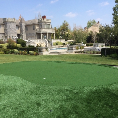 Synthetic Lawn Winchester, California Rooftop, Front Yard Landscaping Ideas