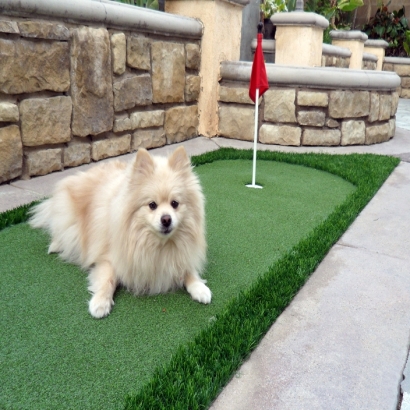 Synthetic Turf East Hemet, California How To Build A Putting Green, Backyard Ideas