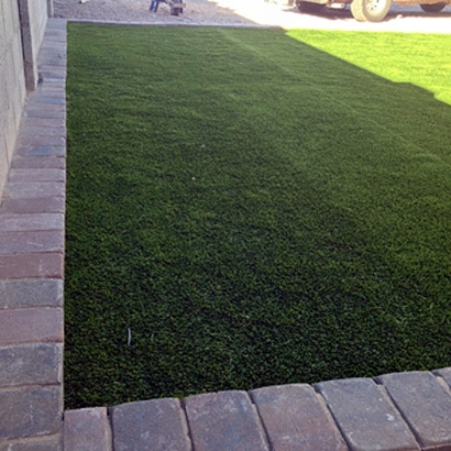 Synthetic Turf Good Hope, California Dog Park, Landscaping Ideas For Front Yard