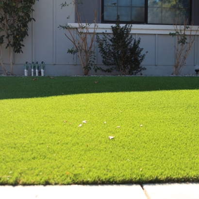 Synthetic Turf Norco, California Landscape Photos, Landscaping Ideas For Front Yard