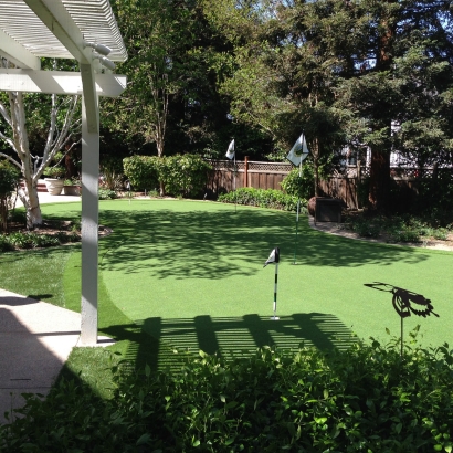 Synthetic Turf Palm Desert, California Landscaping Business