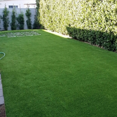 Synthetic Turf Perris, California Garden Ideas, Backyard Garden Ideas