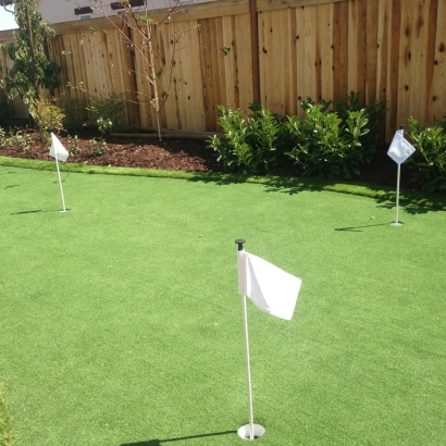 Synthetic Turf Rancho Mirage, California Putting Green Turf, Backyard Ideas