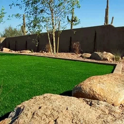 Synthetic Turf Rancho Mirage, California City Landscape, Backyard Makeover