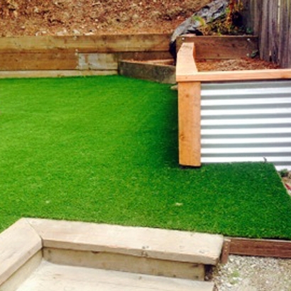 Synthetic Turf Rubidoux, California Landscape Ideas, Backyard