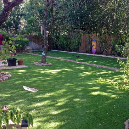 Synthetic Turf Supplier Coachella, California Lawn And Garden, Backyard Garden Ideas