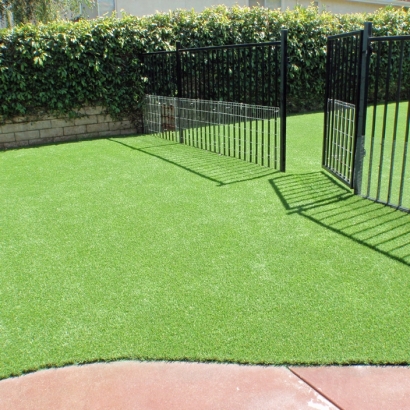 Synthetic Turf Supplier El Cerrito, California Dog Pound, Front Yard