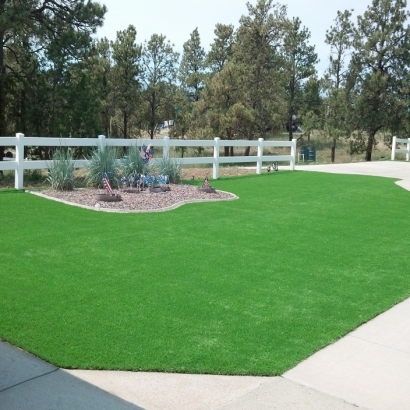 Synthetic Turf Supplier El Cerrito, California Lawns, Small Front Yard Landscaping