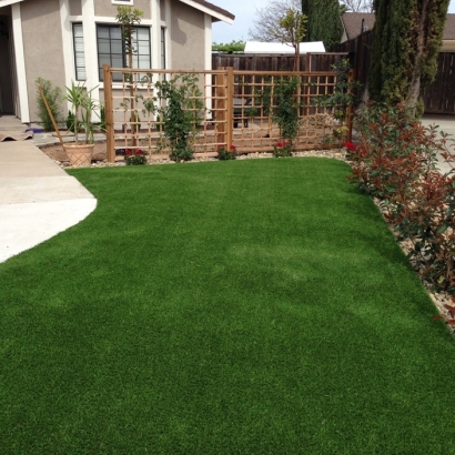 Synthetic Turf Supplier Home Gardens, California Design Ideas, Front Yard Ideas