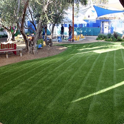 Synthetic Turf Supplier La Quinta, California Landscape Design, Commercial Landscape