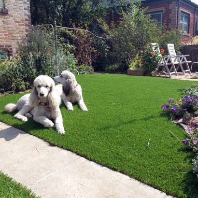 Synthetic Turf Supplier Lakeland Village, California Dogs, Landscaping Ideas For Front Yard
