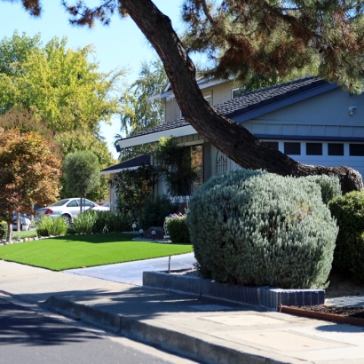 Synthetic Turf Supplier Mead Valley, California Landscape Ideas, Small Front Yard Landscaping