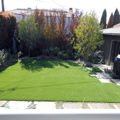 Synthetic Turf Supplier Oasis, California Landscape Ideas, Backyard Landscaping