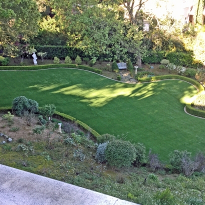 Synthetic Turf Supplier Pedley, California Pet Paradise, Backyard Landscaping Ideas