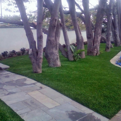 Synthetic Turf Supplier Vista Santa Rosa, California Landscape Design, Landscaping Ideas For Front Yard