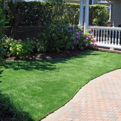 Synthetic Turf Supplier Wildomar, California Rooftop, Front Yard Ideas