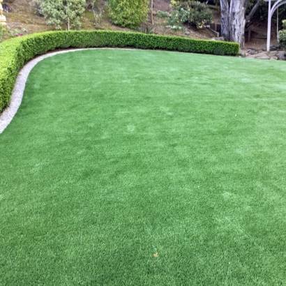 Synthetic Turf Supplier Wildomar, California Lawns, Backyard Design
