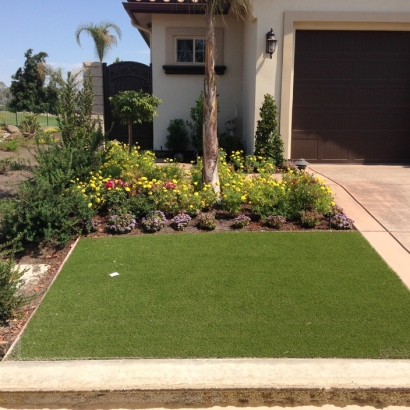 Turf Grass Idyllwild, California Landscape Design, Front Yard Ideas