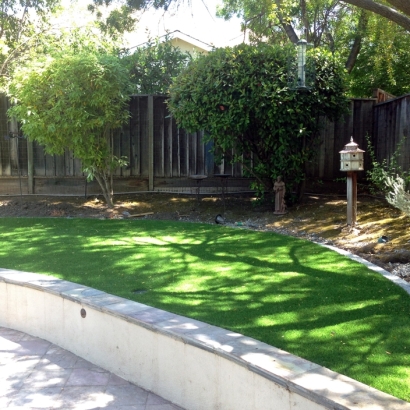 Turf Grass Mesa Verde, California Home And Garden, Commercial Landscape