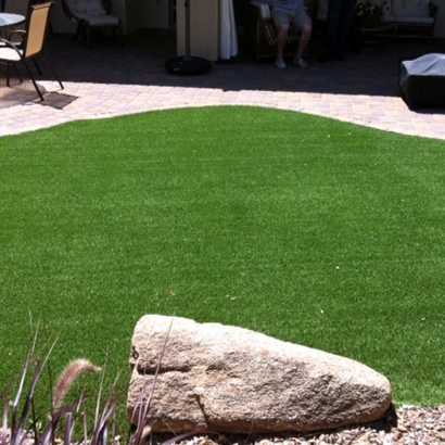 Turf Grass Moreno Valley, California Dog Run, Backyard Landscaping