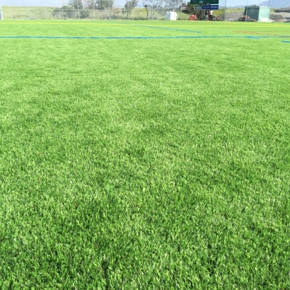 Turf Grass Mortmar, California Bocce Ball Court