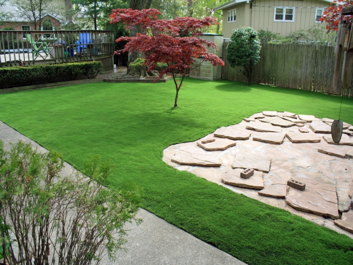 Artificial Grass Blythe, California Backyard Playground, Backyard Landscape Ideas