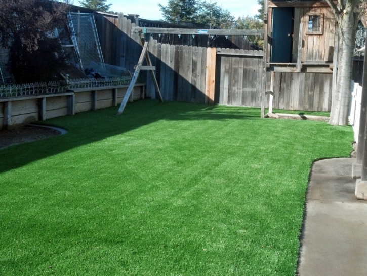 Artificial Grass Calimesa, California Lawn And Garden, Backyard Makeover
