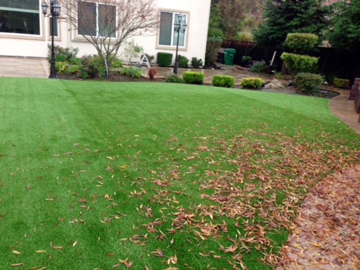 Artificial Grass Carpet Lakeland Village, California Backyard Deck Ideas, Backyard Makeover