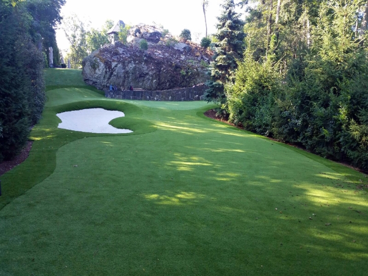 Artificial Grass Carpet Sedco Hills, California Putting Green, Commercial Landscape