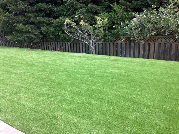 Artificial Grass Carpet Winchester, California City Landscape, Backyard Landscape Ideas