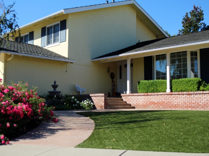 Artificial Grass Carpet Woodcrest, California Landscape Design, Front Yard Ideas