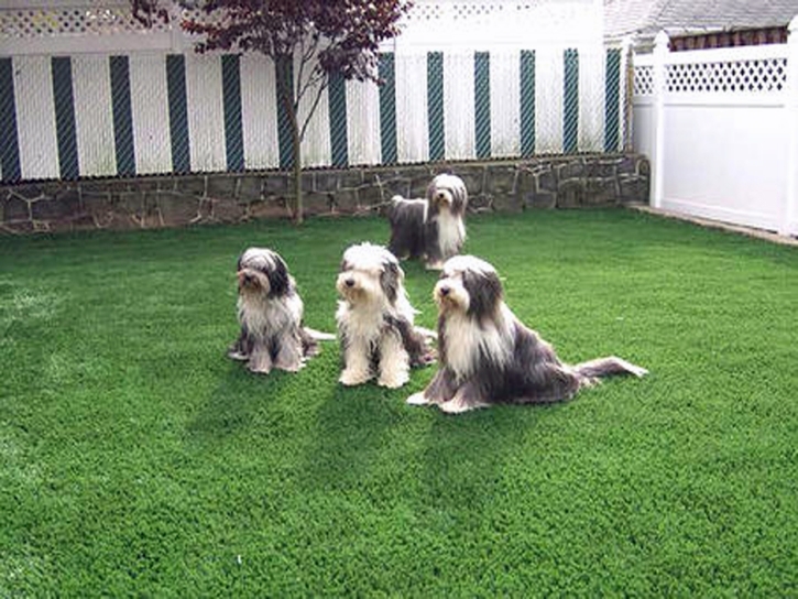 Artificial Grass Cherry Valley, California Artificial Grass For Dogs, Dog Kennels