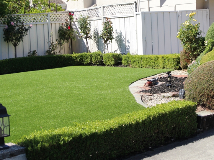 Artificial Grass Desert Hot Springs, California Landscape Photos, Small Backyard Ideas