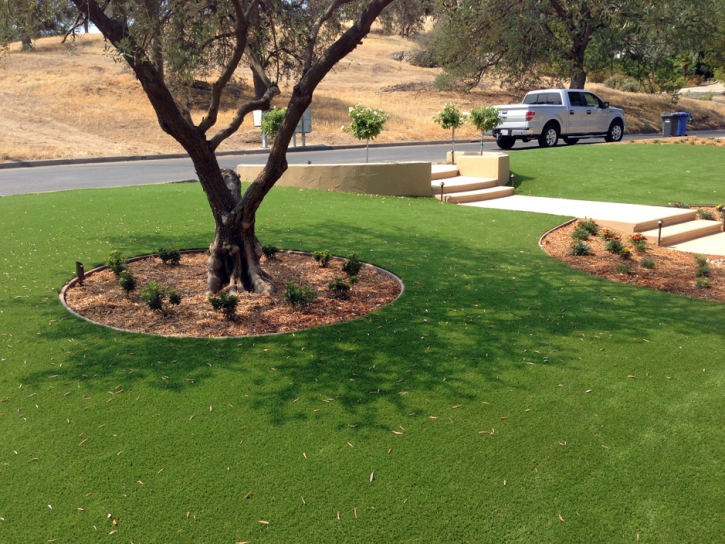 Artificial Grass Green Acres, California Roof Top, Front Yard Ideas