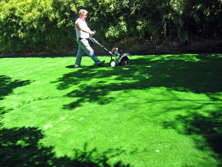 Artificial Grass Highgrove, California Landscape Rock, Backyard Landscape Ideas