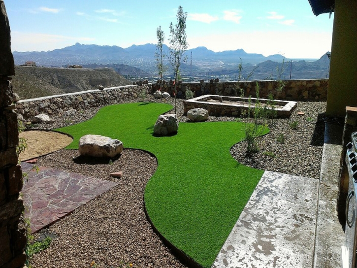 Artificial Grass Indian Wells, California Pictures Of Dogs, Backyard Landscape Ideas