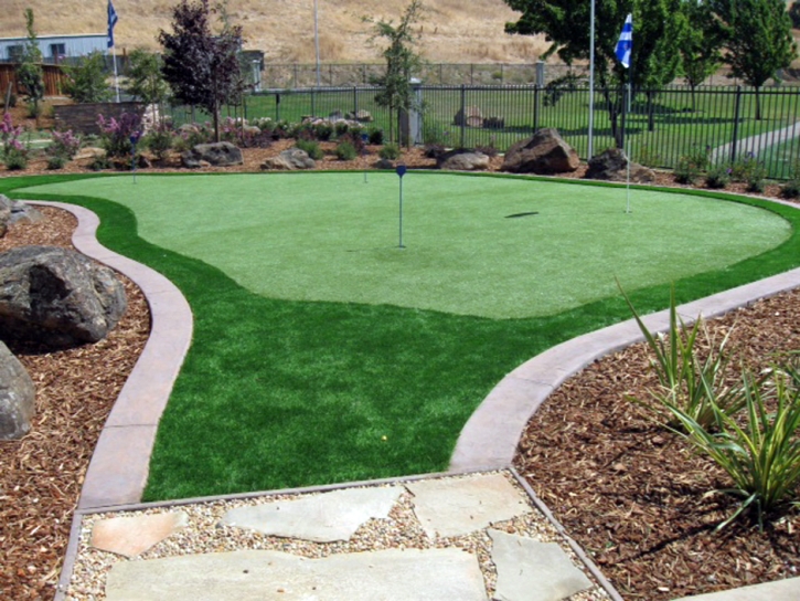 Artificial Grass Installation Canyon Lake, California Putting Greens, Backyard Landscaping Ideas