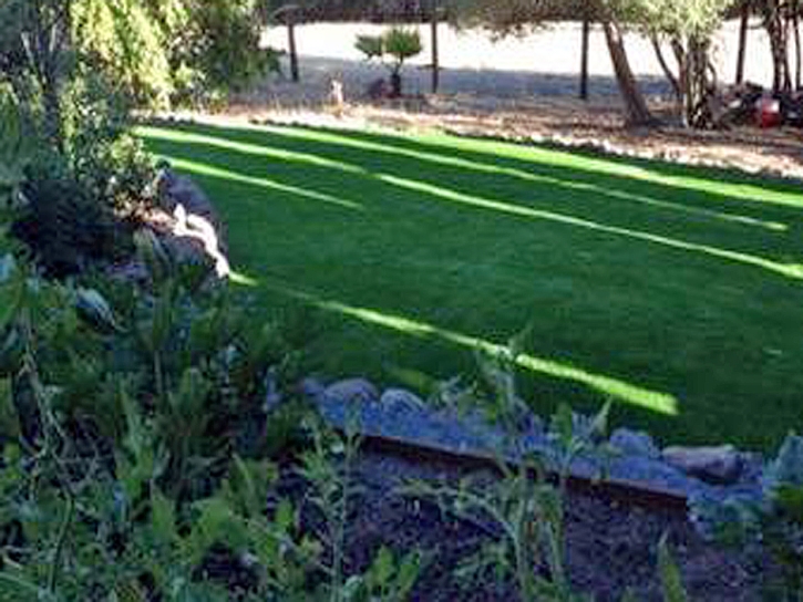 Artificial Grass Lake Elsinore, California Landscape Ideas, Small Backyard Ideas