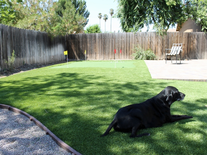 Artificial Grass March Air Force Base, California Watch Dogs, Backyard Landscaping Ideas