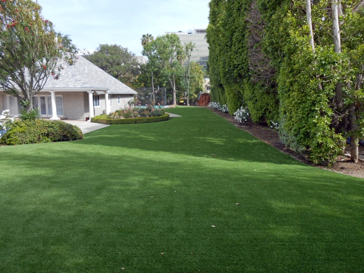 Artificial Grass Menifee, California Lawns, Front Yard Ideas