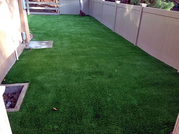 Artificial Grass Mira Loma, California Dog Pound, Backyards