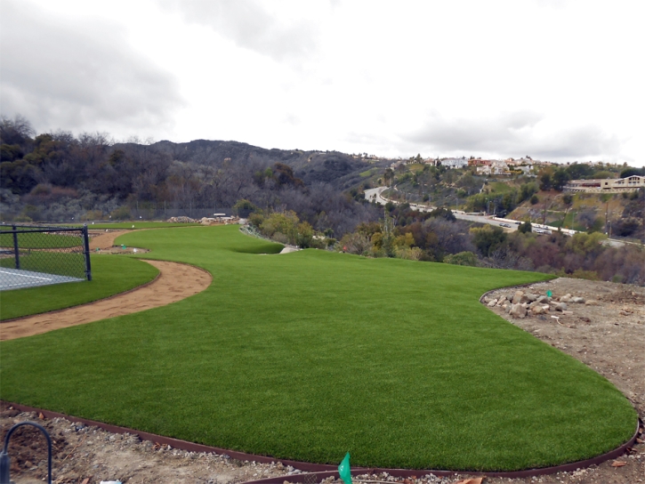 Artificial Grass Norco, California Landscaping