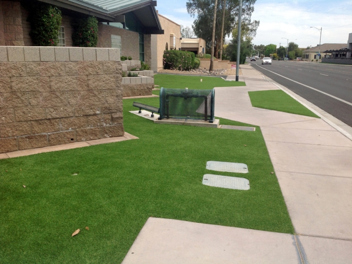 Artificial Grass San Jacinto, California Landscaping, Front Yard Landscaping