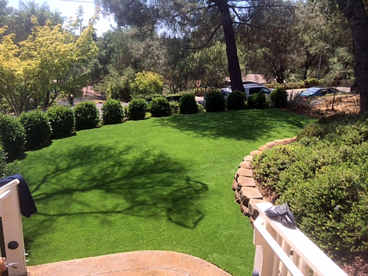 Artificial Grass Winchester, California Garden Ideas, Beautiful Backyards