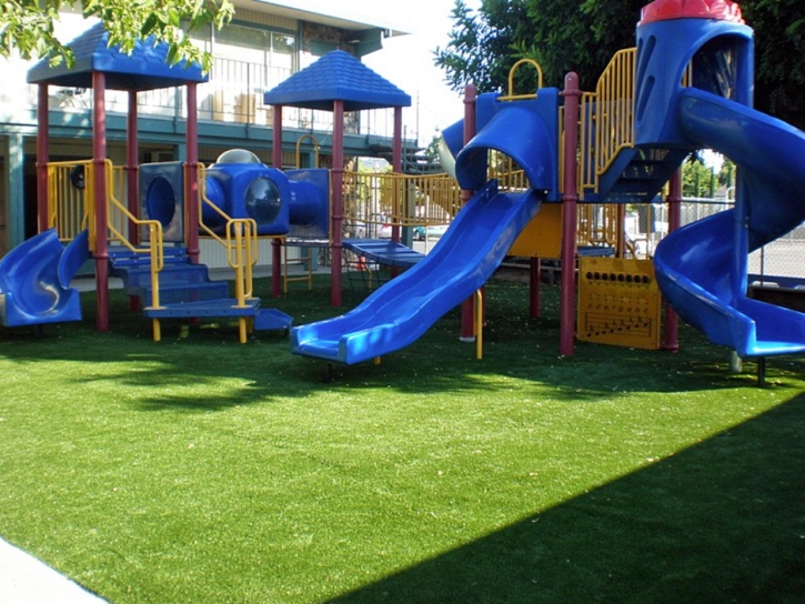 Artificial Lawn Cabazon, California Roof Top, Commercial Landscape