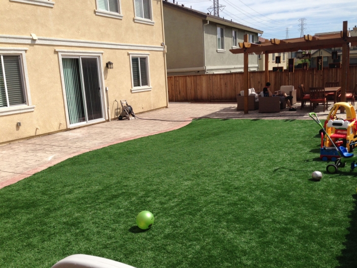 Artificial Lawn Calimesa, California Landscape Design, Beautiful Backyards