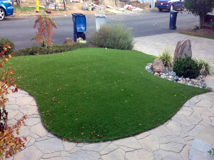 Artificial Lawn Indian Wells, California Landscaping Business