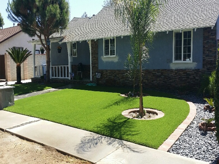 Artificial Lawn Lakeview, California Landscaping Business, Front Yard Landscaping